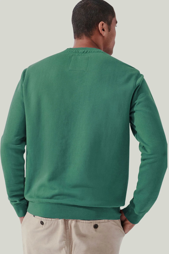 Classic Plain Cotton Sweatshirt